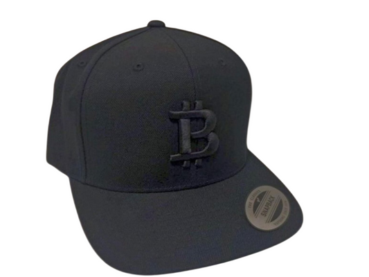 Bitcoin  Embroidered 3D Puff Logo Snapback Hat Crypto Accessories